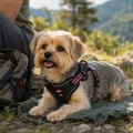 ZOLUX Szelki dla psa BIVOUAK XS czerwone