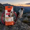 ZOLUX Obroża LED dla szczeniąt i małych psów świecąca silikon BIVOUAK czer
