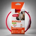 ZOLUX Obroża LED dla szczeniąt i małych psów świecąca silikon BIVOUAK czer