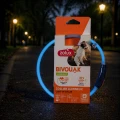 ZOLUX Obroża LED dla szczeniąt i małych psów świecąca silikon BIVOUAK nieb
