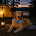 ZOLUX Obroża LED dla psa świecąca silikonowa BIVOUAK przezroczysta nieb
