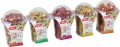 ZOLUX CRUNCHY CUP XL 110g przysmak naturalny dla gryzoni marchewka