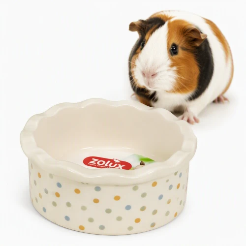ZOLUX Miska ceramiczna dla gryzonia COSY 150 ml w groszki