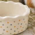 ZOLUX Miska ceramiczna dla gryzonia COSY 150 ml w groszki