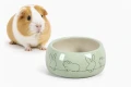 ZOLUX Miska ceramiczna dla gryzonia przeciw chlapaniu COSY 150ml zielona