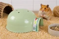 ZOLUX Domek igloo dla gryzonia plastikowy COSY mały zielony