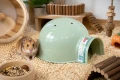 ZOLUX Domek igloo dla gryzonia plastikowy COSY mały zielony