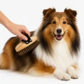 ZOLUX Miękka szczotka drewniana dla psa sierść długa DOG SALON