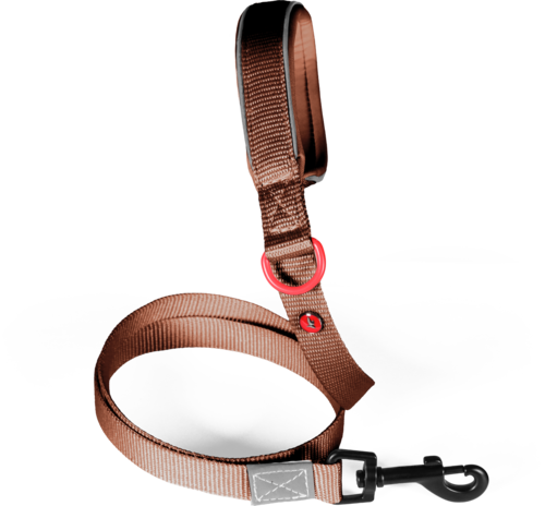 ZOLUX Smycz dla psa nylonowa premium 1.2m/20mm, mocha