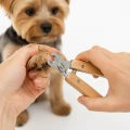 ZOLUX Obcinacz do pazurów dla psa drewniany DOG SALON S