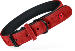 Obroża skórzana dla psa ZOLUX komfort 55 cm/25 mm, czerwona