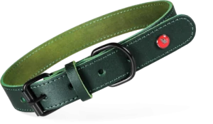 Obroża dla psa ZOLUX skóra klasyczna 30cm zielona