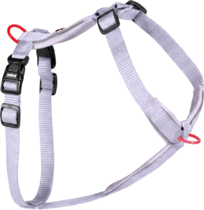 Szelki dla psa ZOLUX nylonowe premium 38-56cm/15mm LILIOWE rozm. S