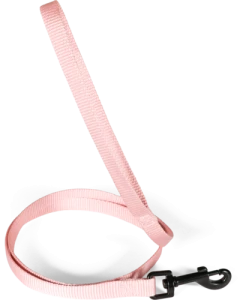 ZOLUX Smycz dla psa nylonowa 1,2m/10mm różowa, z karabińczykiem