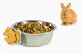 ZOLUX Karmnik dla królika i kawii do mocowania plastik/inox COSY 350ml ziel