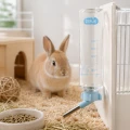 ZOLUX Poidełko dla gryzonia z miarką COSY 250ml niebieskie/zielone