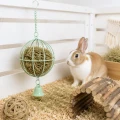 ZOLUX Paśnik na siano dla królika kawii kula do zawieszenia COSY zielony