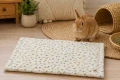 ZOLUX Mini pled dla królika i kawii domowej COSY 35x30cm