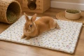 ZOLUX Mini pled dla królika i kawii domowej COSY 35x30cm