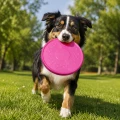ZOLUX Zabawka dla psa frisbee TPR POP 23 cm kol. różowy