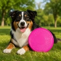 ZOLUX Zabawka dla psa frisbee TPR POP 23 cm kol. różowy