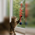 ZOLUX Zabawka dla kota MALO pompon sprężyna 80cm czerwony