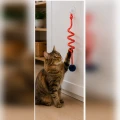 ZOLUX Zabawka dla kota MALO pompon sprężyna 80cm czerwony