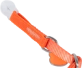 Obroża dla kota ZOLUX CLASSIC 20-30cm koralowa z zawieszką