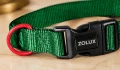 ZOLUX Obroża dla psa nylonowa 21-36 cm/10 mm zielona klasyczna