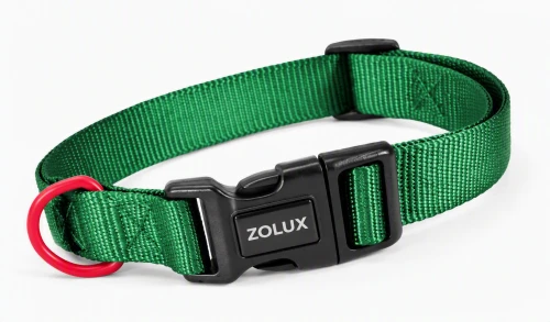 ZOLUX Obroża dla psa nylonowa 21-36 cm/10 mm zielona klasyczna