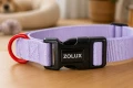 ZOLUX obroża dla psa klasyczna liliowa 26-39 cm/15 mm