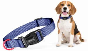 ZOLUX Obroża dla psa nylonowa 26-39 cm granatowa