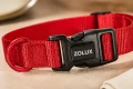 ZOLUX Obroża dla psa nylonowa 26-39 cm czerwona
