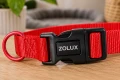 ZOLUX obroża dla psa klasyczna czerwona 31-48 cm/20 mm