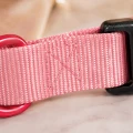 ZOLUX obroża dla psa klasyczna różowa 31-48 cm/20 mm