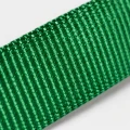 ZOLUX obroża dla psa klasyczna zielona 31-48 cm/20 mm