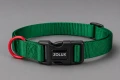 ZOLUX obroża dla psa klasyczna zielona 31-48 cm/20 mm