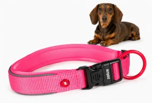 ZOLUX Obroża dla psa z nylonu premium 30-35 cm/15 mm XS kol. fuksja