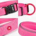 ZOLUX Obroża dla psa z nylonu premium 30-35 cm/15 mm XS kol. fuksja