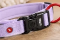 ZOLUX Obroża dla psa z nylonu premium 30-35 cm/15 mm XS kol. liliowy
