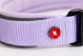 ZOLUX Obroża dla psa z nylonu premium 30-35 cm/15 mm XS kol. liliowy