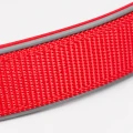 ZOLUX Obroża dla psa z nylonu premium 30-35 cm/15 mm XS kol. czerwony