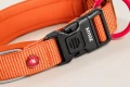 ZOLUX Obroża dla psa z nylonu premium 30-35 cm/15 mm XS kol. rdzawy