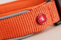 ZOLUX Obroża dla psa z nylonu premium 30-35 cm/15 mm XS kol. rdzawy