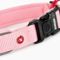 ZOLUX Obroża dla psa z nylonu premium 30-35 cm/15 mm XS kol. różowy