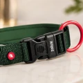 ZOLUX Obroża dla psa z nylonu premium 30-35 cm/15 mm XS kol. zielony