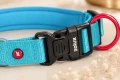 ZOLUX Obroża dla psa z nylonu premium 30-35 cm/15 mm XS kol. turkusowy