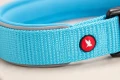 ZOLUX Obroża dla psa z nylonu premium 30-35 cm/15 mm XS kol. turkusowy