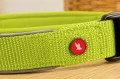 ZOLUX Obroża dla psa nylon premium 45-50 cm/25 mm L jasnozielona