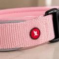 ZOLUX Obroża dla psa nylon premium 45-50cm L różowa